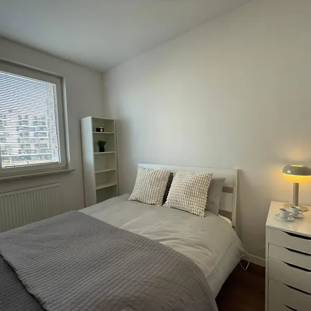 Ikigaihome Pl Modern With Garage * Warsaw